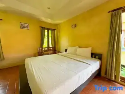 Baanbali Beach - 100