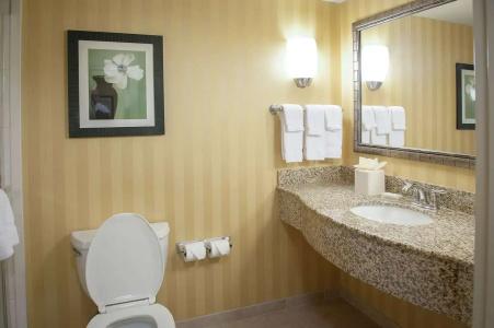 Hilton Garden Inn Airport/Medical Center - 46