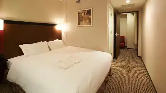 Sotetsu Fresa Inn Tokyo-Akasaka - 50