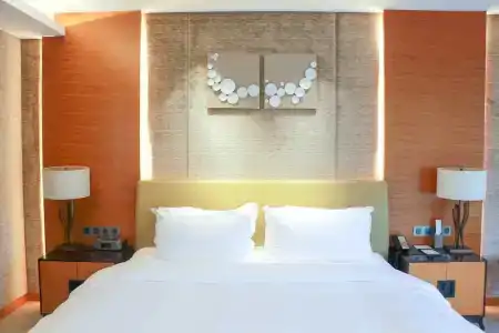 Holiday Inn Nanjing Xuanwu Lake, An Ihg - 66