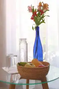 Mamá Carlota - 25