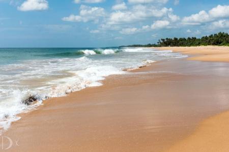 Turtle Bay - 81