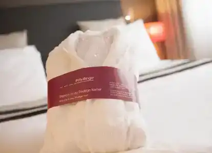 Mercure Den Haag Central - 127