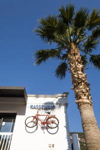 Karbel Sun - 31