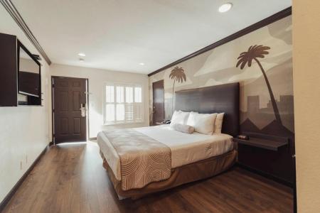 The Dixie Hollywood - 25