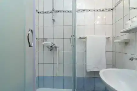 Vojin - 207