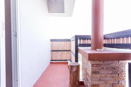 Latin Garden - 134