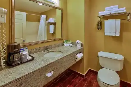 Holiday Inn Express & Suites Houston-Downtown Convention Center, An Ihg - 49