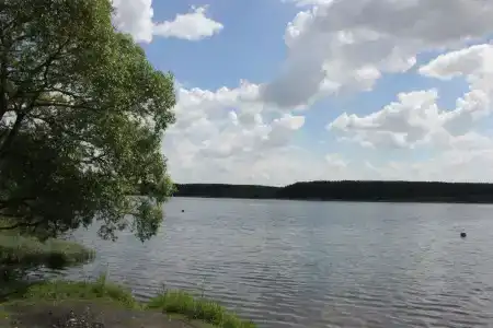 Пралеска - 3