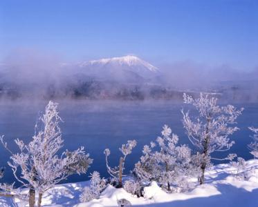 Shion - 20