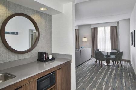 Hampton Inn and Suites Downtown - 91