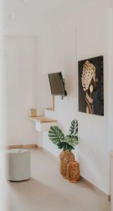 elia boutique - 50