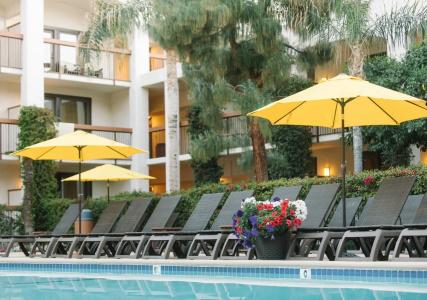Palm Mountain & Spa - 11