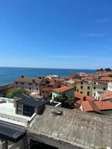 Rotonda Inn Novigrad - 43