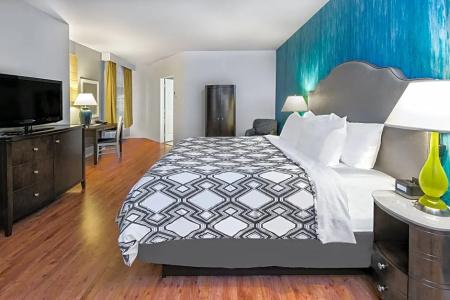 Indigo Houston at the Galleria, an IHG Hotel - 71