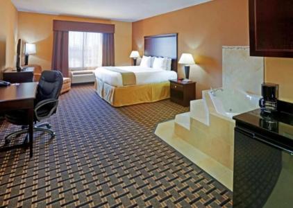 Comfort Inn & Suites Dallas Medical-Market Center - 30