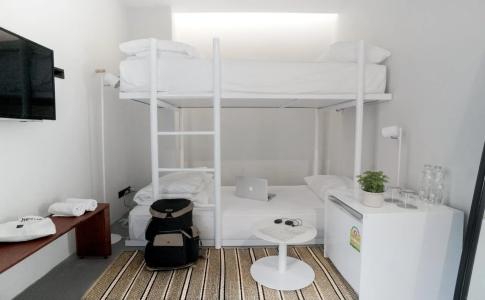 Chocolate box mint - 1