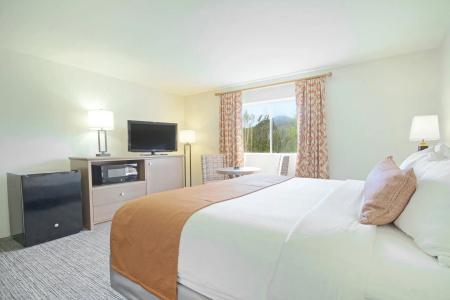 Starr Pass Golf Suites - 50