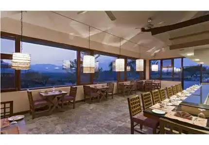 Bar Peepal - 23