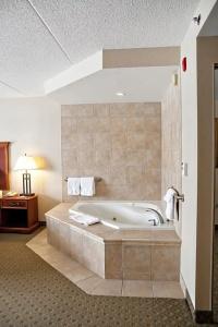 Kitchener Inn & Suites - 52