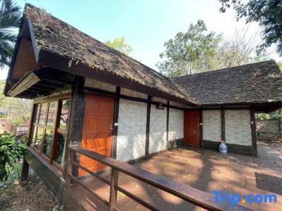 Phuingfah - 28