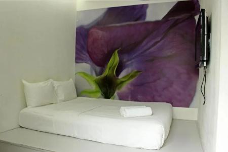 V Garden - 34