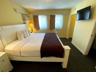 Hollywood Celebrity - 4