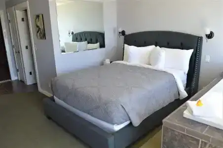 Starfish Manor Oceanfront - 19