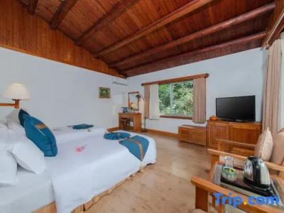 Evergreen Resort - 15