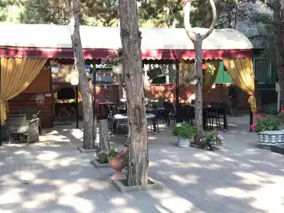 Арпат - 7