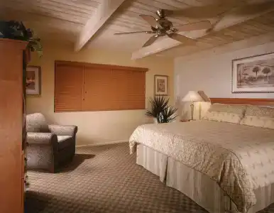 Desert Isle - 14