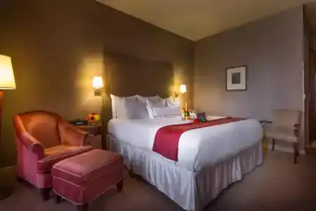 Giraffe by Library Hotel Collection - 48