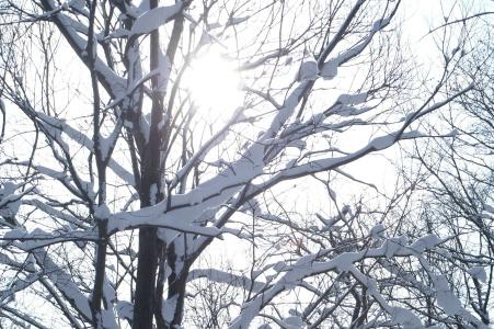 Niseko Prince Hirafutei - 16