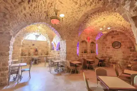 Hashimi - 21