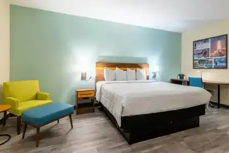 Spot x By Red Collection Orlando International Dr - 7