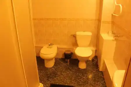 Дружба - 21