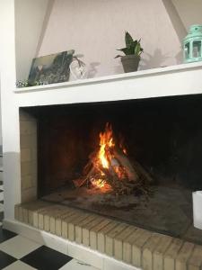 Agrib&b Il Pomo d'Oro - 9