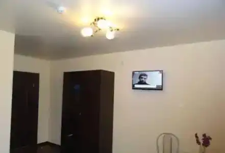 Эдельвейс - 8