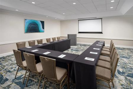 Embassy Suites by Hilton- Lake Buena Vista Resort - 15