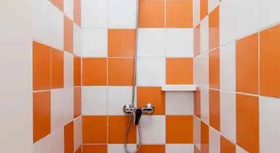 Essential - 7
