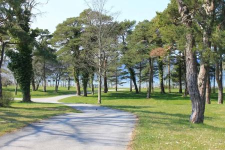 Visby Gustavsvik - 23