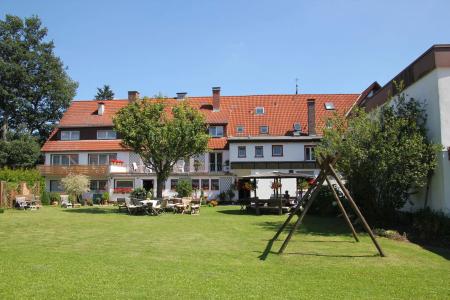 Waldblick - 19