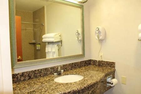 Holiday Inn Express & Suites Tucson Mall, An Ihg - 48