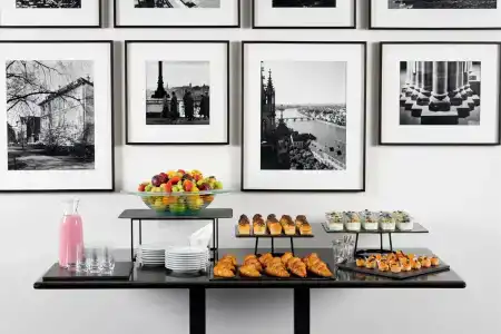 Swissotel Le Plaza Basel City - 37