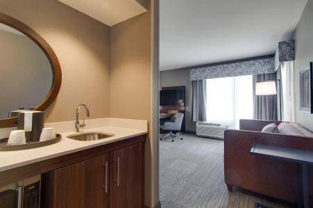 Hampton Inn & Suites by Hilton Nashville North Skyline - 96