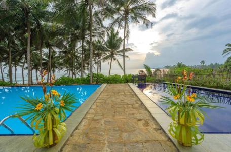 Turtle Bay - 47