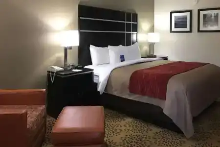 Comfort Inn - 29