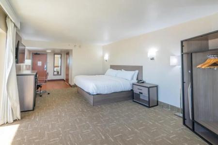 Clarion Pointe Galveston Seawall - 56