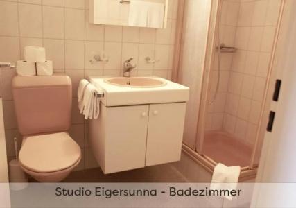 ApartEiger *** - Grindelwald - 100