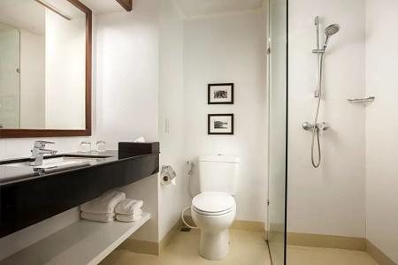 Mercure Chiang Mai - Sha Extra Plus - 42